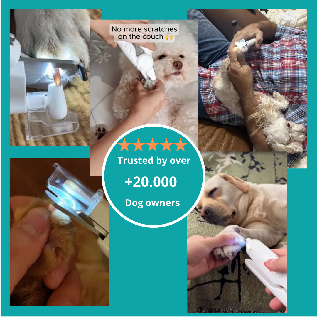 The PawGuard™ by LumiPaws Basic