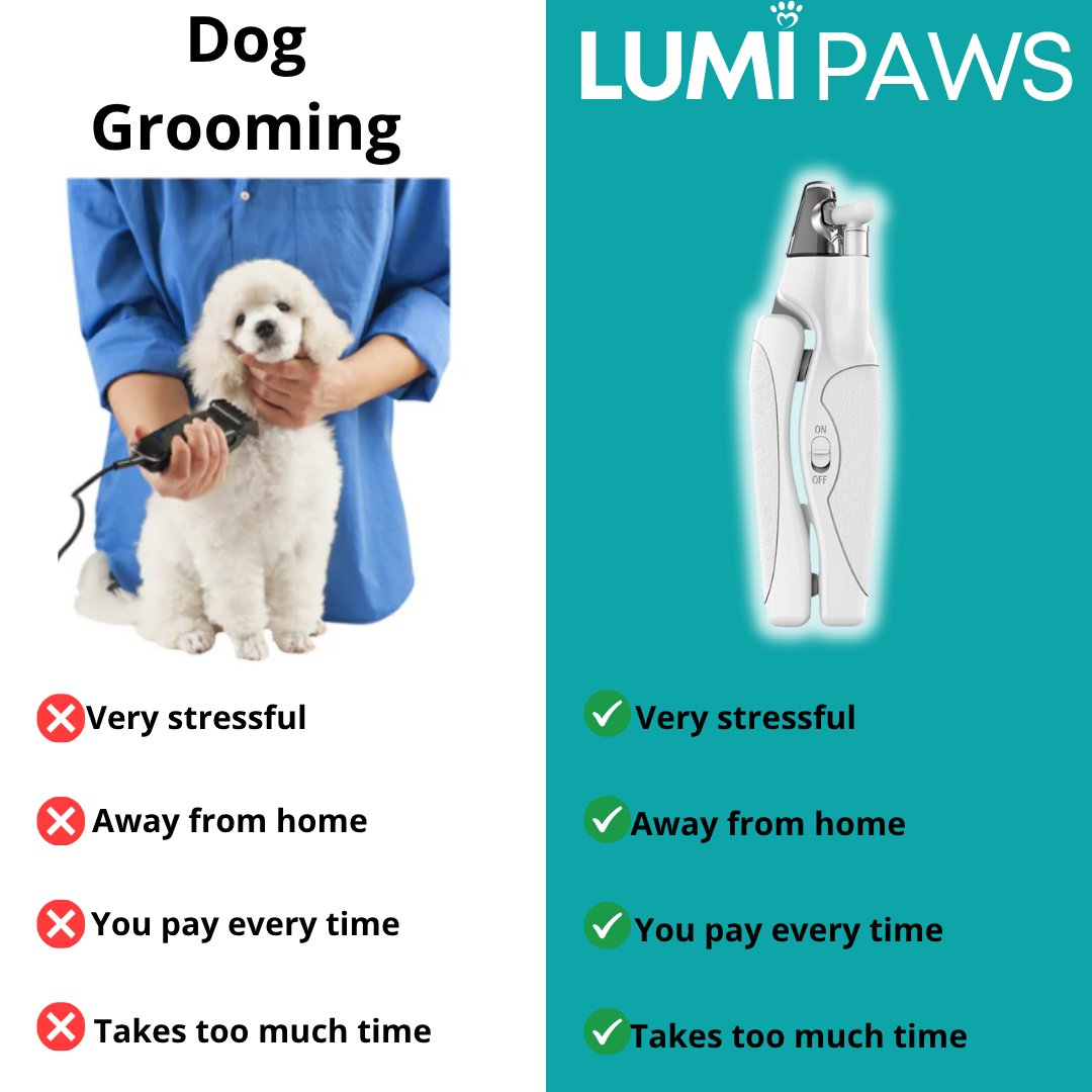 The PawGuard™ by LumiPaws Basic