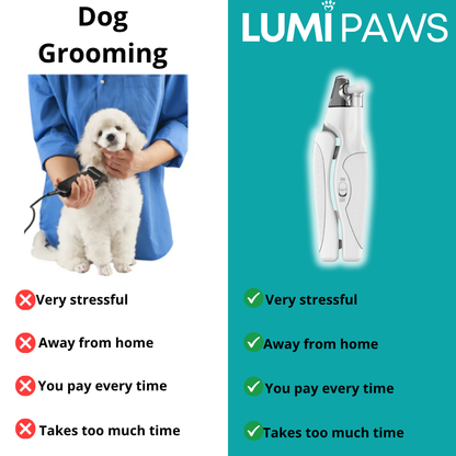 The PawGuard™ by LumiPaws Basic